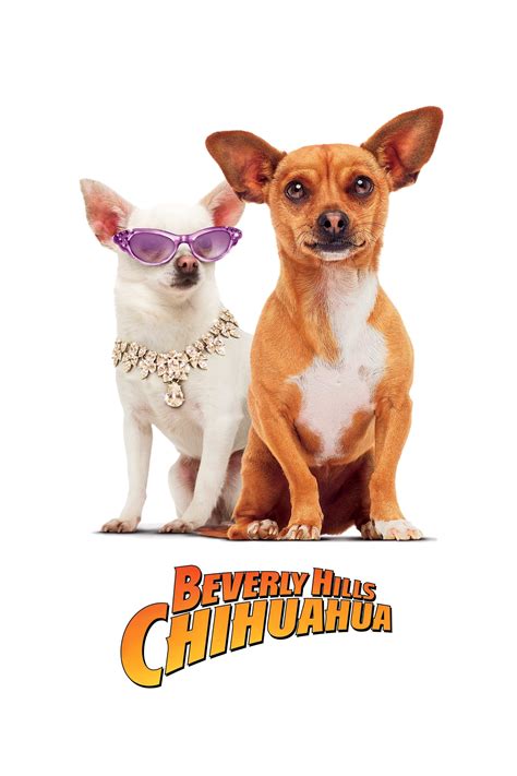 beverly hills chihuahua release date.